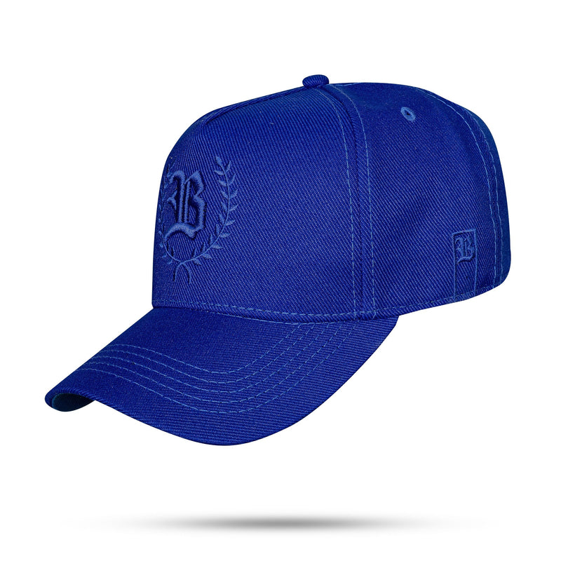 Boné Azul Royal Snapback Branch