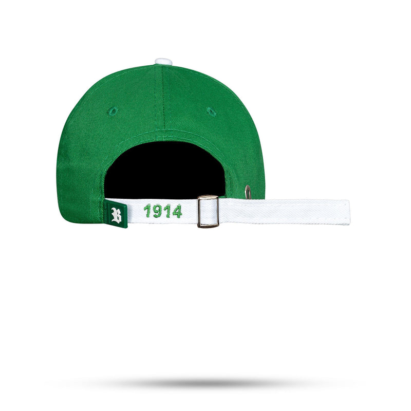 Boné Palmeiras - Dad Hat Verde Snapback - Blck Brasil